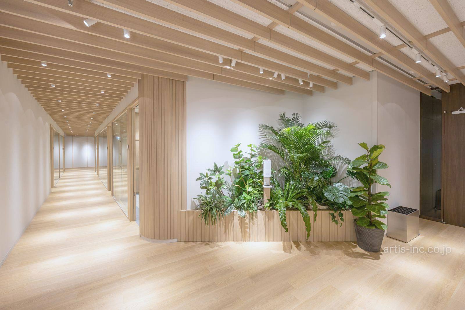 植栽と木の天井の廊下